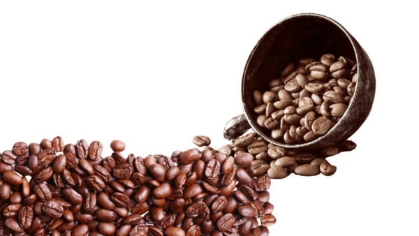 Arabica Roasted Coffee - Image 2