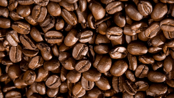 Robusta Roasted Coffee - Image 2